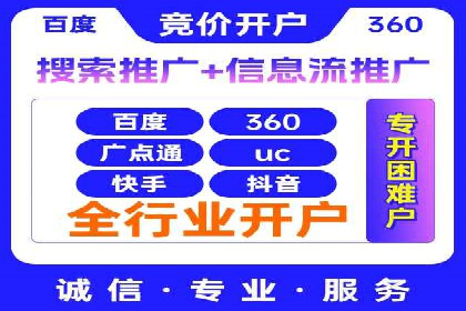 大型企业SEM外包实战案例